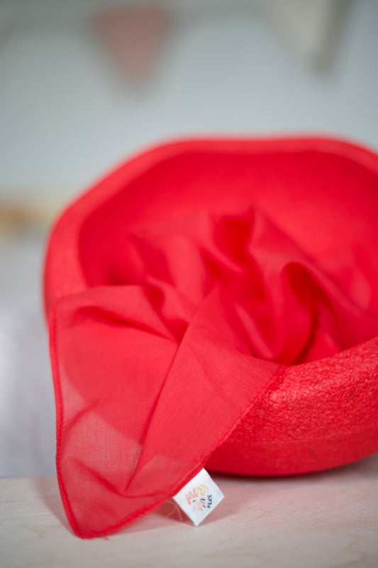 Speeldoek Rood Regenboog - Large 75x75 - Speelkatoen - Pit and play